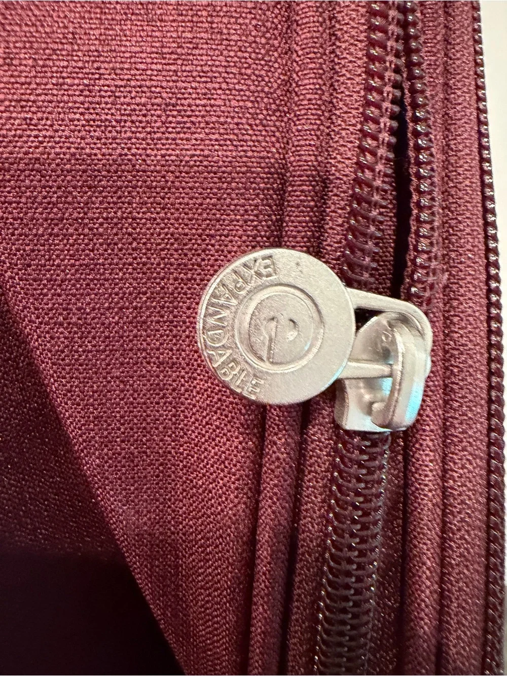 eBags Mother Lode Travel Backpack Burgundy Garnet Carry On Convertible NWT